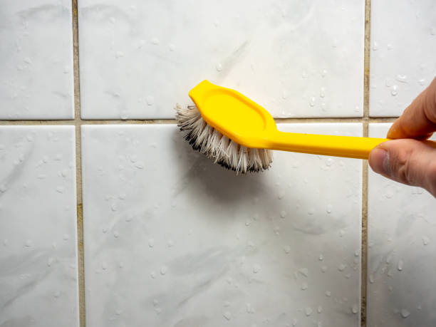 Best Mold Testing  in St James, NY