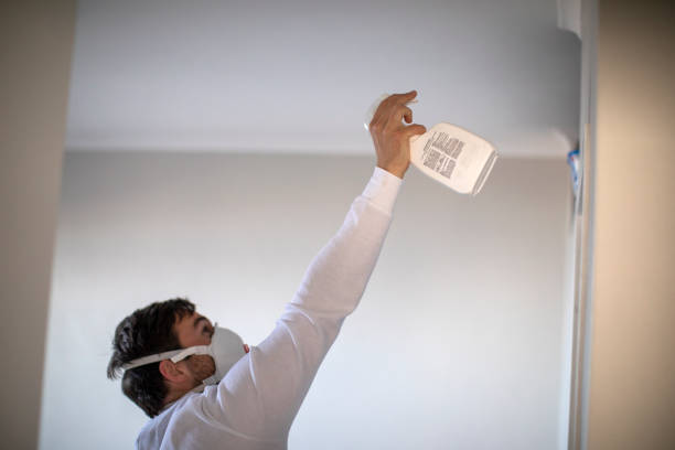 Best Emergency Mold Removal  in St James, NY