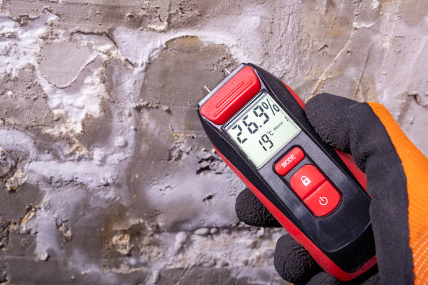 Best Fast Mold Removal  in St James, NY