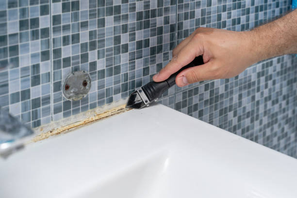 Best Local Mold Removal Service  in St James, NY